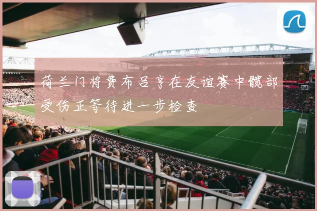 荷兰门将费布吕亨在友谊赛中髋部受伤正等待进一步检查